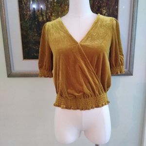 NWT Madewell velvet top